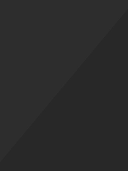 Heavy Sound Travel Speaker